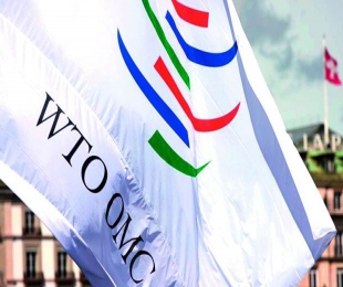 After US deal, India to push for Doha agenda at WTO in 2015