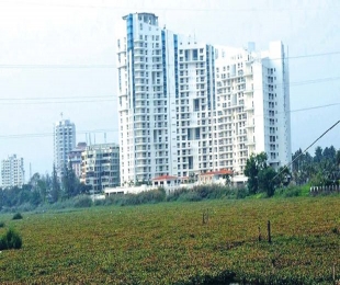 Kerala high court orders razing of DLF flat complex