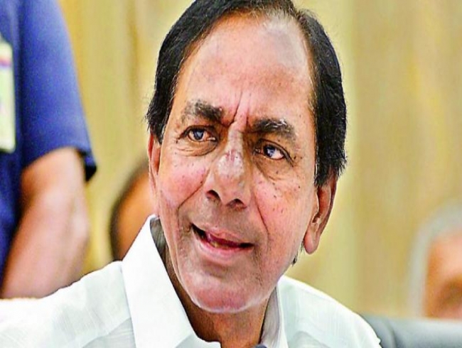 KCR offers subsidy to dairy farmers to bring in ‘white revolution’