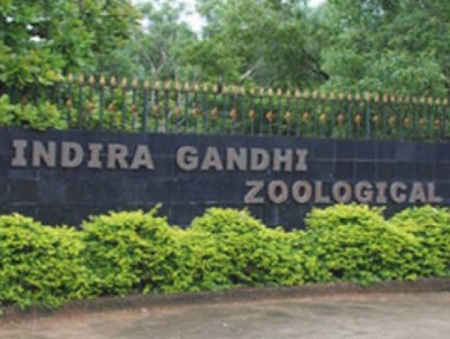 10 new guests for Indira Gandhi Zoological Park
