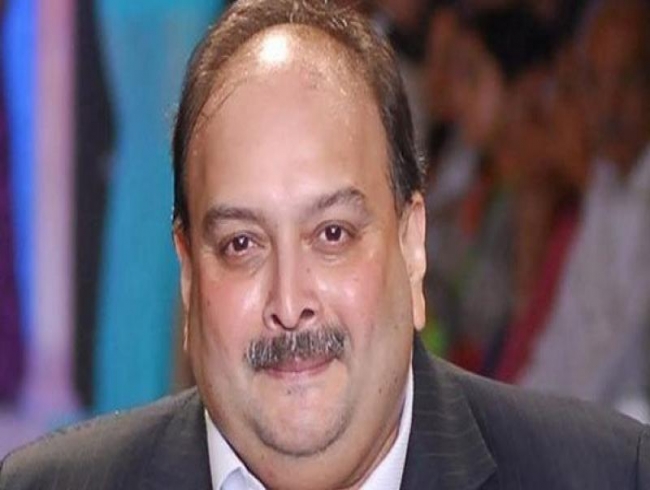 'Innocent until proven guilty': Choksi's lawyer after Antigua PM's remark