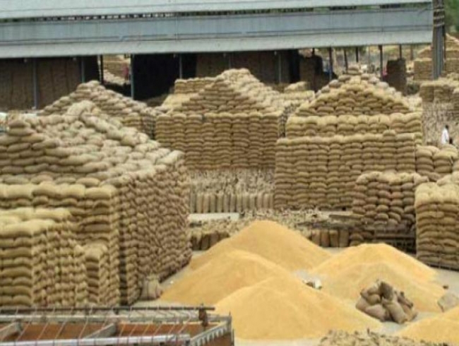 Spurious seed business booming in Hyderabad