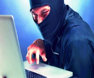 Cyber fraud nabbed
