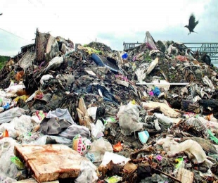 BITS Pilani campus reels under garbage stench