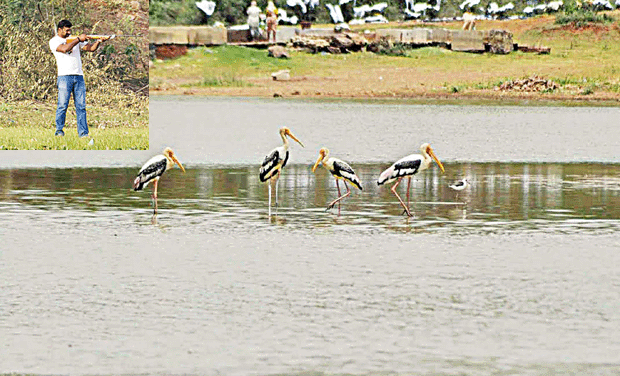 Death threat for migratory birds in historical Dharwad lakes