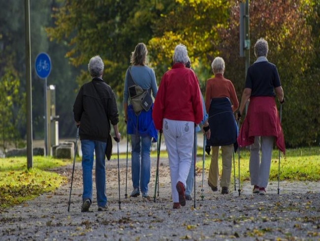 Walking regularly can help improve brain function