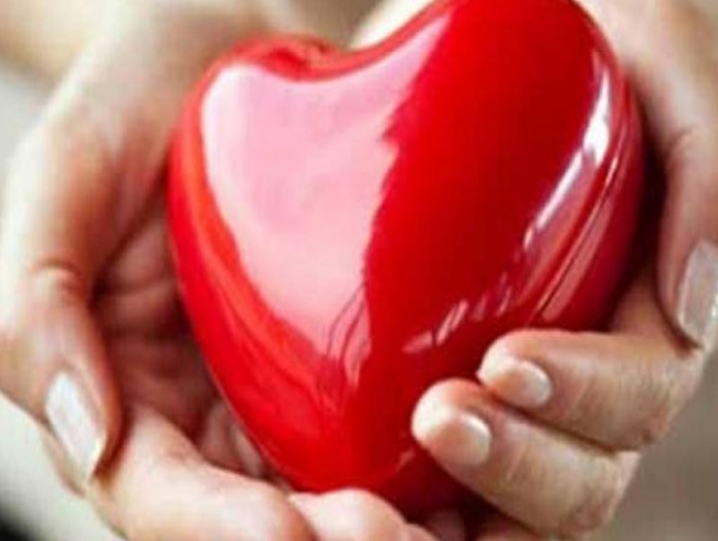 Lead, mercury in blood raises cholesterol levels, says study