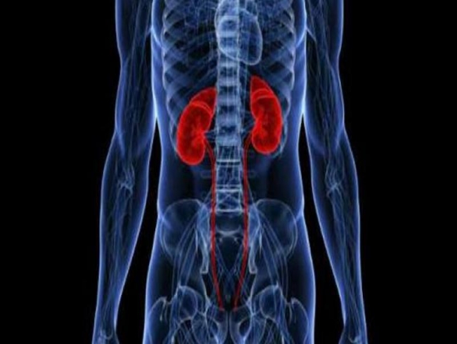New gene that puts you at increased kidney disease risk discovered