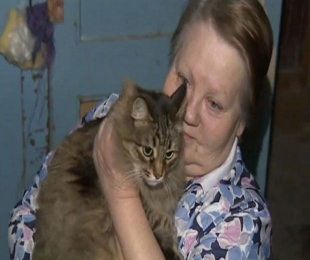 Heroic stray cat saves abandoned baby from freezing temperatures