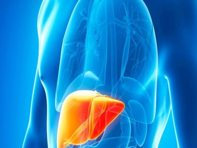 Scientists explain link between fatty liver, diabetes & PCOS