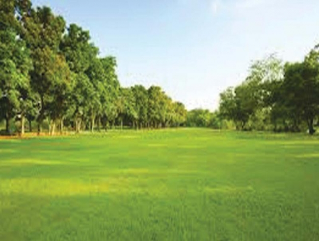 Green space reduces risk of lifestyle diseases, says study