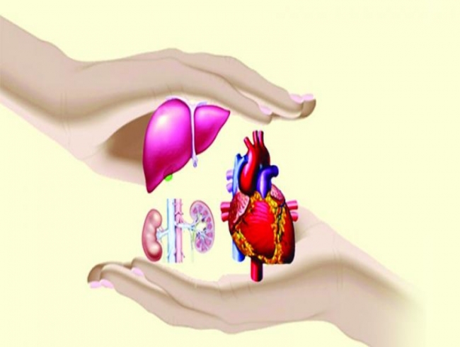 Miles to go for organ donation in Telangana