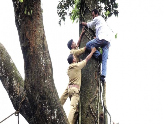 Man puts himself at risk, saves tree at Kalpetta