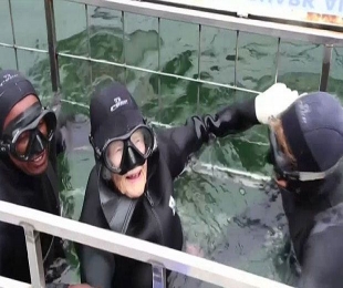Watch: Granny continues 100th birthday celebration with shark dive
