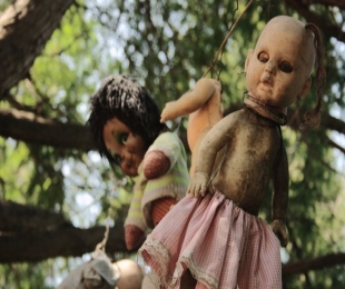 Haunted dolls have become popular collectors' items