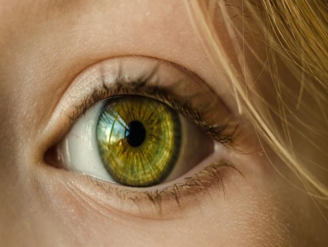New gene-delivery system can ward off hereditary blindness