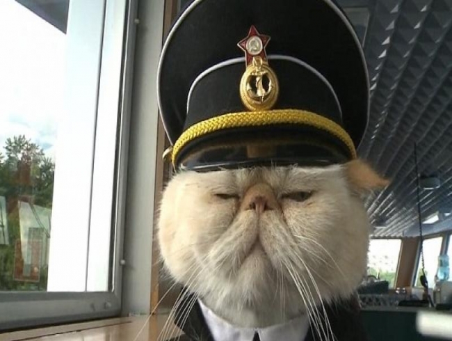 This Russian cruise has a cat called ‘Sailor’ as captain