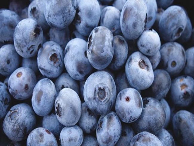 New mothers eat blueberries to keep 'baby blues' at bay