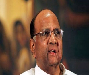 Sharad Pawar to contest BCCI elections: reports