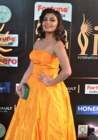 Anisha Ambrose Albums