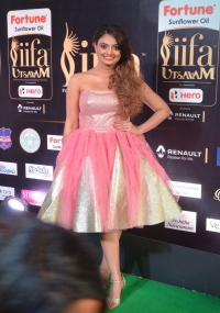 Nikita Narayan Albums