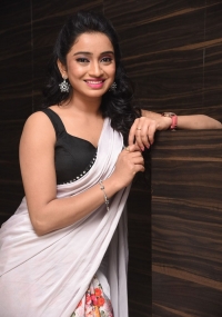 Vidya Albums