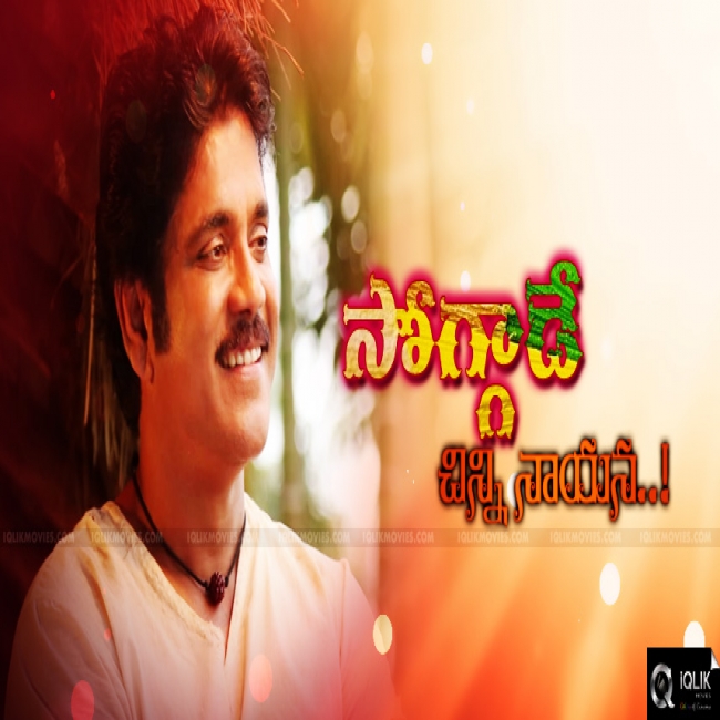 Soggade Chinni Nayana Albums